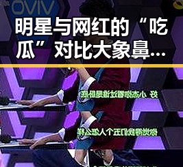 明星与网红的“吃瓜”对比大象鼻子揭秘娱乐圈和直播带货的真实面貌