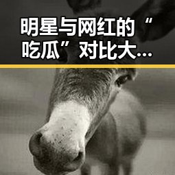 明星与网红的“吃瓜”对比大象鼻子揭秘娱乐圈和直播带货的真实面貌