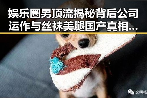 娱乐圈男顶流揭秘背后公司运作与丝袜美腿国产真相的反差思考