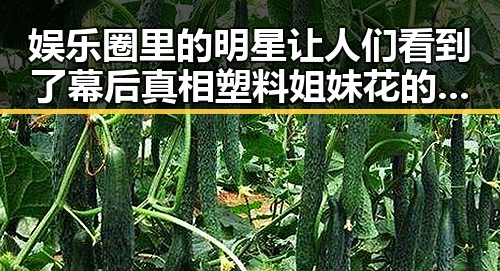 娱乐圈里的明星让人们看到了幕后真相塑料姐妹花的反差吃瓜群众的热议