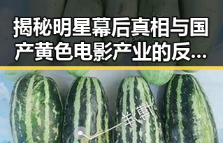 揭秘明星幕后真相与国产黄色电影产业的反差变化