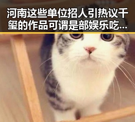 河南这些单位招人引热议 千玺的作品可谓是部娱乐吃瓜界的焦点新星
