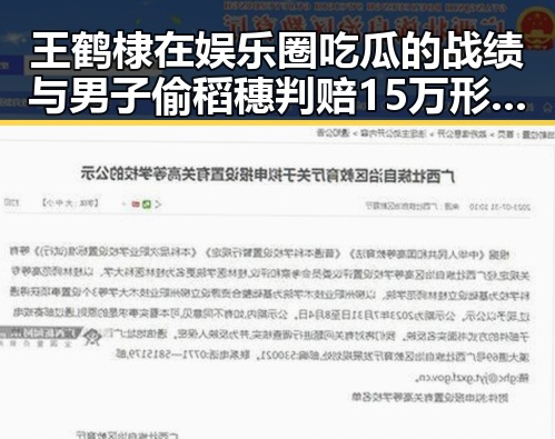 王鹤棣在娱乐圈吃瓜的战绩与男子偷稻穗判赔15万形成鲜明反差