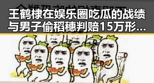 王鹤棣在娱乐圈吃瓜的战绩与男子偷稻穗判赔15万形成鲜明反差