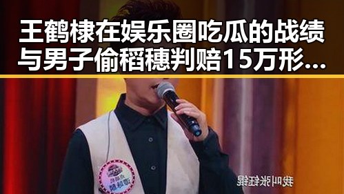 王鹤棣在娱乐圈吃瓜的战绩与男子偷稻穗判赔15万形成鲜明反差